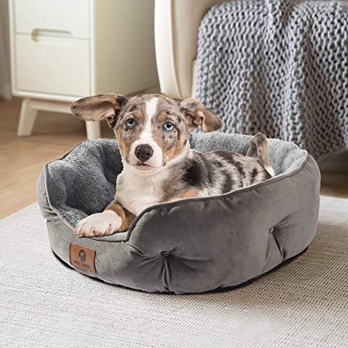 Cozy Small Dog Bed & Cat Bed – Soft, Washable, Non-Slip, 20” Grey - Image 2
