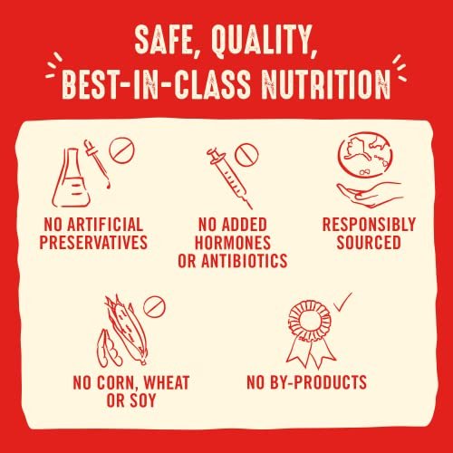 Stella & Chewy's Freeze-Dried Raw Beef Patties – Grain-Free Dog Food - Image 6