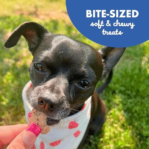 Buddy Biscuits Softies Dog Treats, Bacon & Cheese, 6oz – Oven Baked USA - Image 7