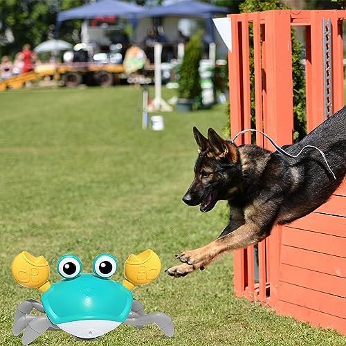 Interactive Crawling Crab Dog Toy with Lights, Music & Obstacle Avoidance - Image 2