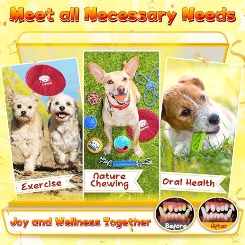 KIPRITII 25-Pack Puppy Toys - Chew, Teething, Squeaky & Rope Set - Image 6