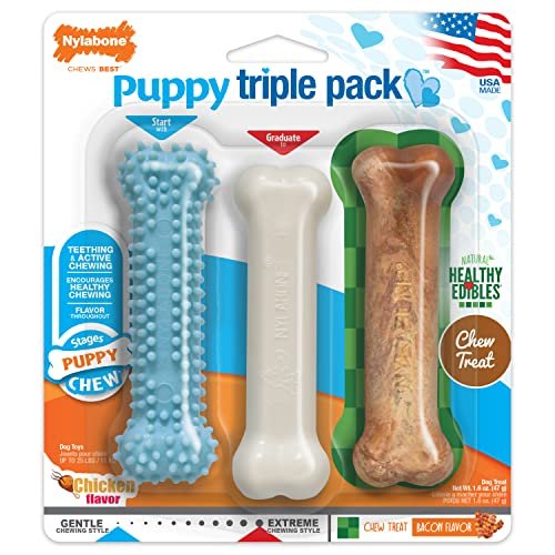 Nylabone Puppy Chew Toy & Treat Pack – Teething Relief & Flavor Fun - Image 9