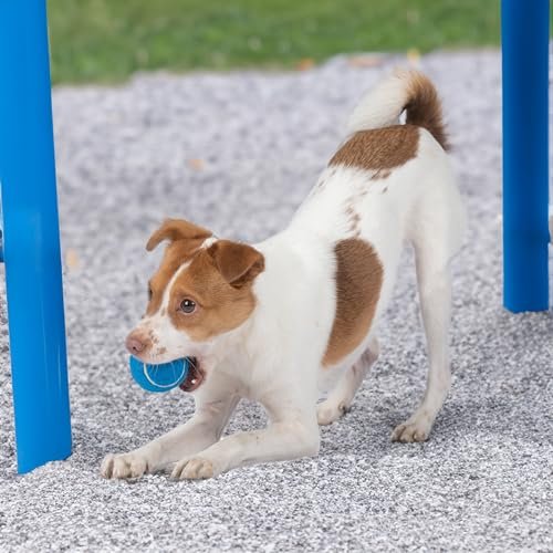 Durable Squeaky Tennis Balls for Dogs - 4-Pack Interactive Fetch Toys - Image 8