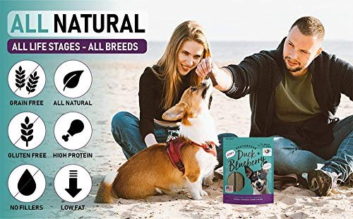 Pet Jerky Factory Duck & Blueberry Dog Treats – Grain-Free, USA Made - Image 4