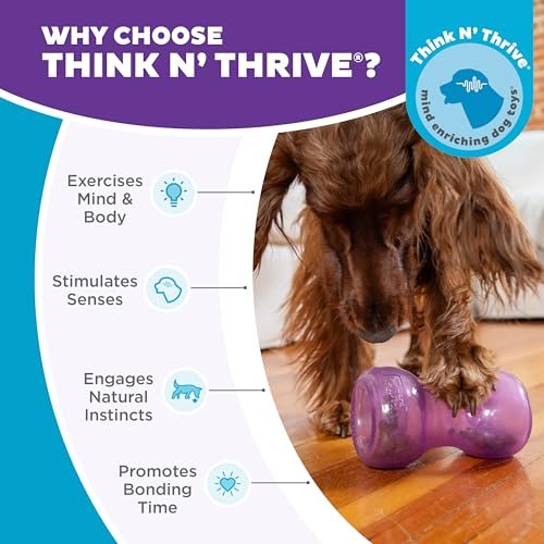 Outward Hound Planet Dog Double Snoop Interactive Treat Dispensing Toy - Image 6