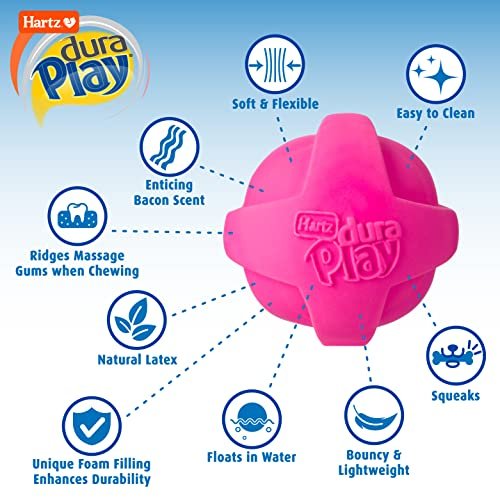 Hartz DuraPlay Small Dog Toys – Bacon Scented, Durable & Bouncy - Image 2