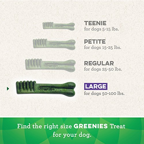 Greenies Large Dog Dental Treats, Natural & Original, 54 oz, 34 Count - Image 5