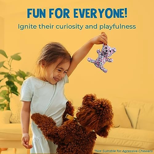 SunGrow Teddy Bear Dog Rope Toy – Teething, Tug, & Teeth Cleaning Fun! - Image 3