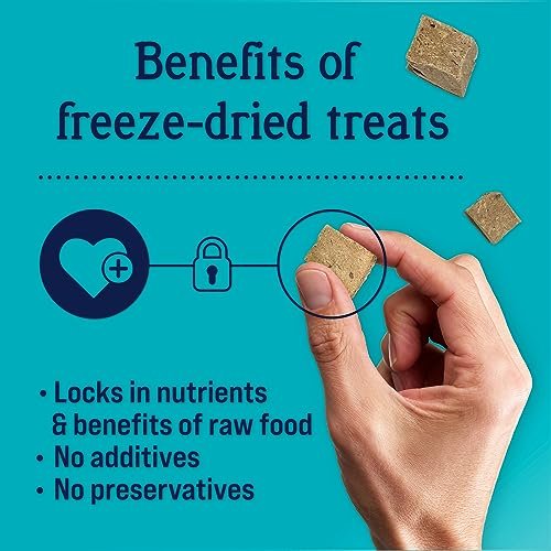 Stewart Freeze-Dried Beef Liver Dog Treats, High-Protein, 12oz Tub - Image 4