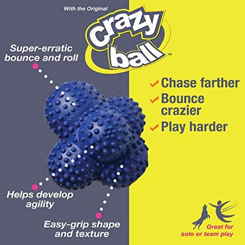 Nylabone Power Play Crazy Ball – Durable Interactive Fetch Toy, Large - Image 9