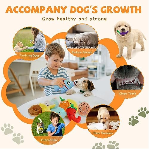 QTwoof 20-Pack Squeaky Plush Dog Toys Set - Cute, Interactive & Fun - Image 4