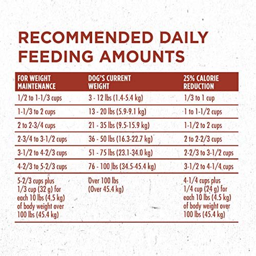 Purina ONE Healthy Weight High-Protein Dry Dog Food, 16.5 lb Bag - Image 10