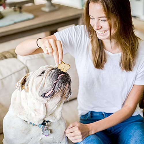 Cloud Star Wag More Crunchy Grain-Free Dog Treats, Assorted Flavors 14oz - Image 6