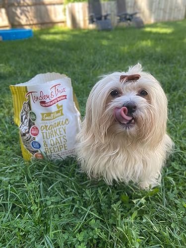 Tender & True Small Breed Organic Turkey & Oats Dog Food, Healthy - Image 4