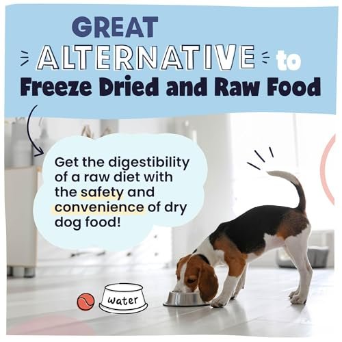 Pawstruck Air-Dried Dog Food, Grain-Free Beef, High-Protein, 2lb Bag - Image 5