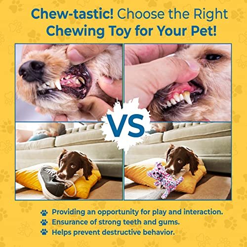 SunGrow Teddy Bear Dog Rope Toy – Teething, Tug, & Teeth Cleaning Fun! - Image 6