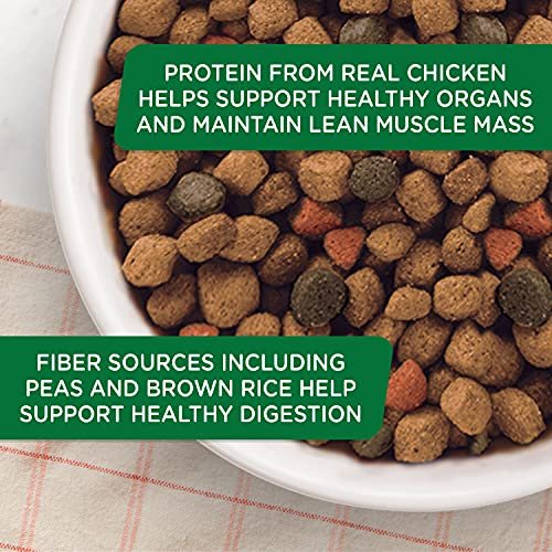 Rachael Ray Nutrish Natural Dry Dog Food, Chicken & Veggies, 14 lb - Image 7
