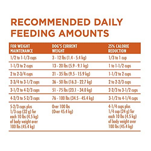 Purina ONE Healthy Weight High-Protein Dry Dog Food, 16.5 lb Bag - Image 9
