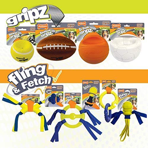 Nylabone Power Play Crazy Ball – Durable Interactive Fetch Toy, Large - Image 6