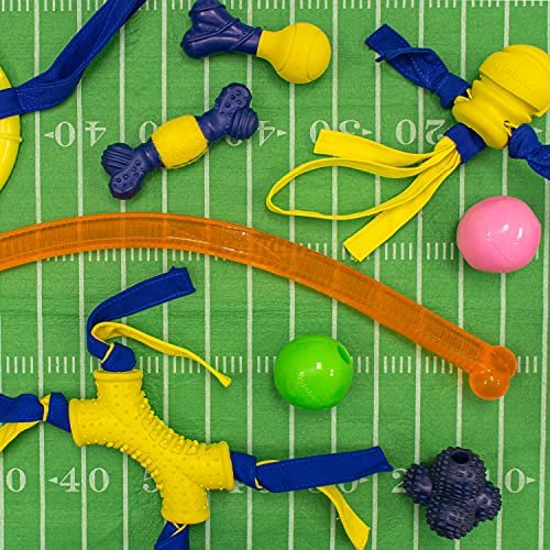 Nylabone Power Play Crazy Ball – Durable Interactive Fetch Toy, Large - Image 4