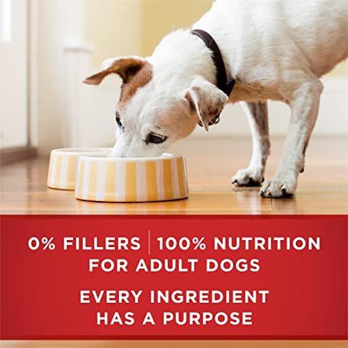 Purina ONE Wet Dog Food Variety Pack, Chicken & Beef, 6 Cans, 13 oz - Image 7
