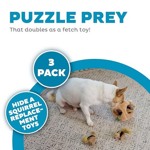 Outward Hound Squeakin' Squirrels Dog Toy Replacements - 3 Pack - Image 2