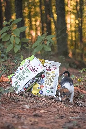 Tender & True Small Breed Organic Turkey & Oats Dog Food, Healthy - Image 5