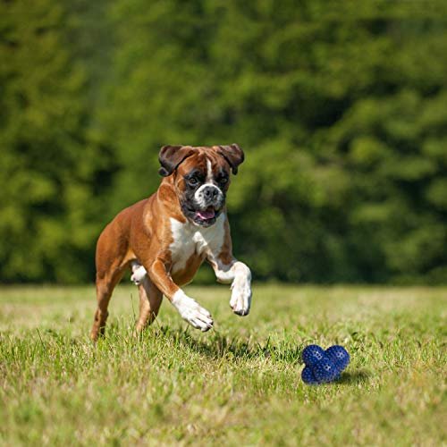 Nylabone Power Play Crazy Ball – Durable Interactive Fetch Toy, Large - Image 5