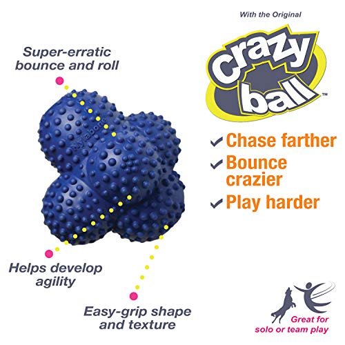 Nylabone Power Play Crazy Ball – Durable Interactive Fetch Toy, Large - Image 2