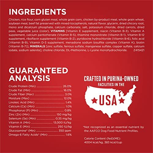 Purina ONE Chicken & Rice Dry Dog Food, High Protein, 8 lb Bag - Image 5