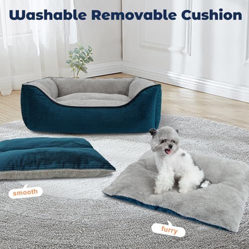 Miguel Washable Dog Bed - Removable Cushion, Non-Slip, 30” Blue - Image 2