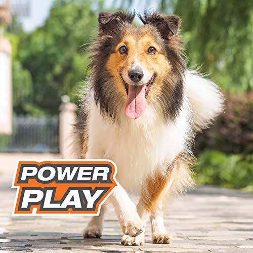 Nylabone Power Play Crazy Ball – Durable Interactive Fetch Toy, Large - Image 7