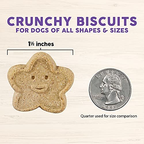 Cloud Star Wag More Crunchy Grain-Free Dog Treats, Assorted Flavors 14oz - Image 5