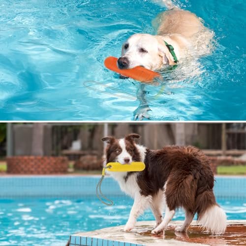 PUPTECK Floating Dog Pool Toys – 2-Pack Interactive Fetch Bumpers - Image 6