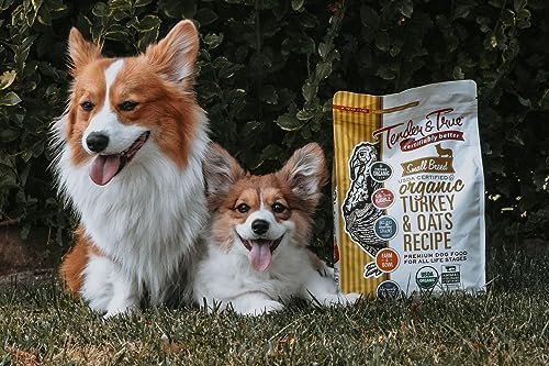 Tender & True Small Breed Organic Turkey & Oats Dog Food, Healthy - Image 3