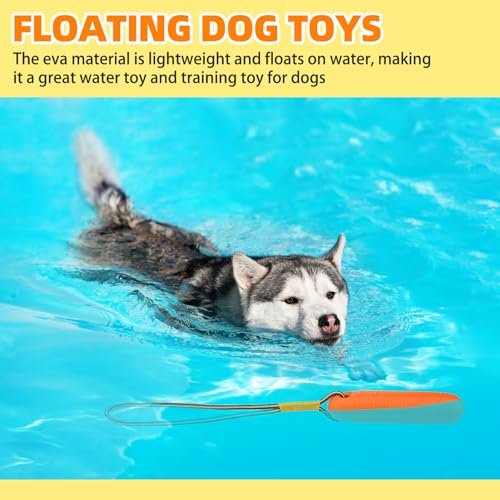PUPTECK Floating Dog Pool Toys – 2-Pack Interactive Fetch Bumpers - Image 3