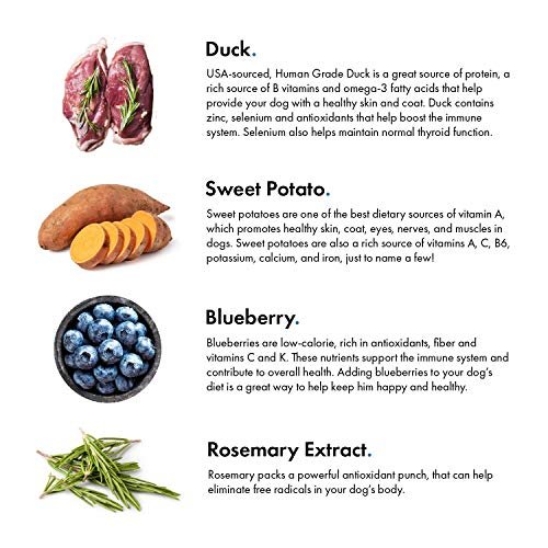 Pet Jerky Factory Duck & Blueberry Dog Treats – Grain-Free, USA Made - Image 3