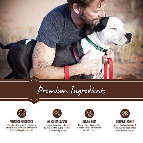 Holistic Select Lamb Meal Dry Dog Food, Natural Nutrition, 30 lb Bag - Image 2