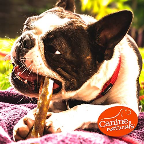 Canine Naturals Rawhide-Free Peanut Butter Dog Chews, 10 Pack, 5" - Image 6