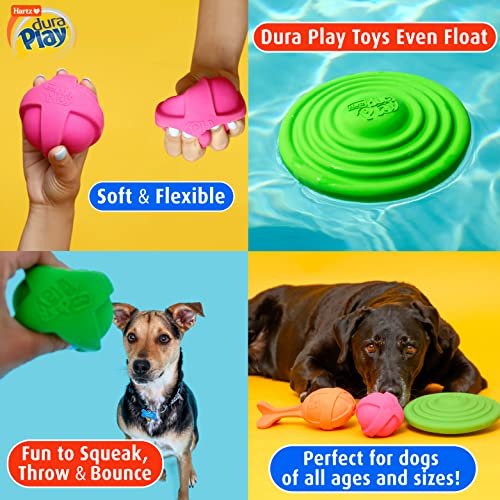 Hartz DuraPlay Small Dog Toys – Bacon Scented, Durable & Bouncy - Image 6