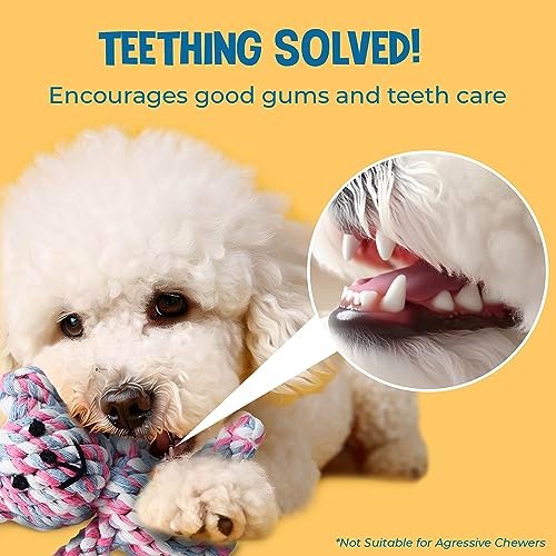 SunGrow Teddy Bear Dog Rope Toy – Teething, Tug, & Teeth Cleaning Fun! - Image 4