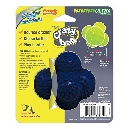 Nylabone Power Play Crazy Ball – Durable Interactive Fetch Toy, Large - Image 8
