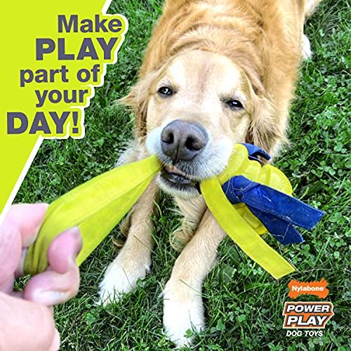 Nylabone Power Play Crazy Ball – Durable Interactive Fetch Toy, Large - Image 3