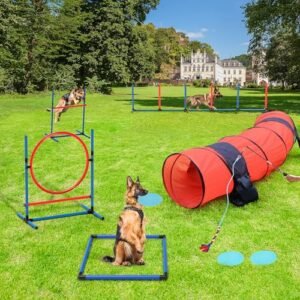 YITAHOME Dog Agility Training Equipments: Includes Flirt Pole Toy, 3 Flying Discs, 1 Agility Tunnel, 2 Jumps, 6 Weave Poles, Pause Box, Dog Agility Course Backyard Set Indoors Outdoors