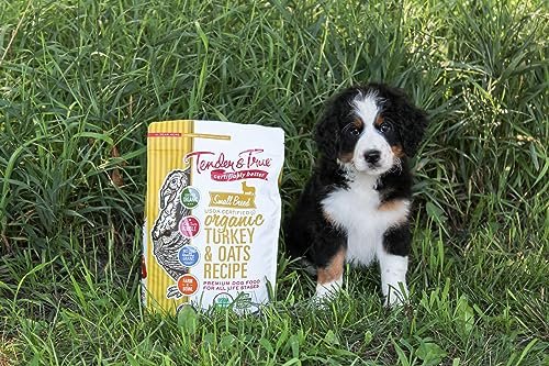 Tender & True Small Breed Organic Turkey & Oats Dog Food, Healthy - Image 2