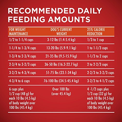 Purina ONE Healthy Weight High-Protein Dry Dog Food, 16.5 lb Bag - Image 11