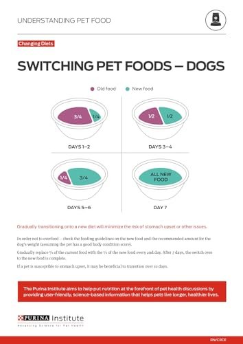Purina ONE True Instinct Wet Dog Food with Beef & Salmon, 13oz, 12 Pack - Image 11
