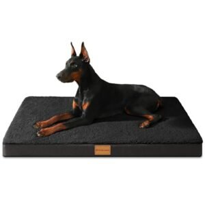 Patas Lague Orthopedic Dog Bed for Large Dogs, Soft Comfortable Waterproof Egg Crate Foam Medium Pet Beds Mat with Removable Washable Cover, 36''X24'' Black