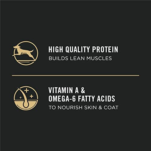 Purina Pro Plan Puppy Food Chicken & Rice High Protein, 6 lb Bag - Image 7
