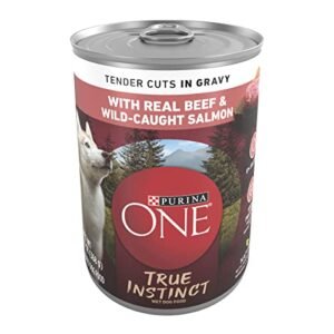 Purina ONE High Protein Wet Dog Food True Instinct Tender Cuts in Dog Food Gravy With Real Beef and Wild-Caught Salmon - (Pack of 12) 13 oz. Cans